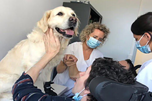 Saint-Jean-de-Luz : Médiation animale pour des patients en éveil de coma ou en état pauci-relationnel dans le service SMR Système Nerveux
