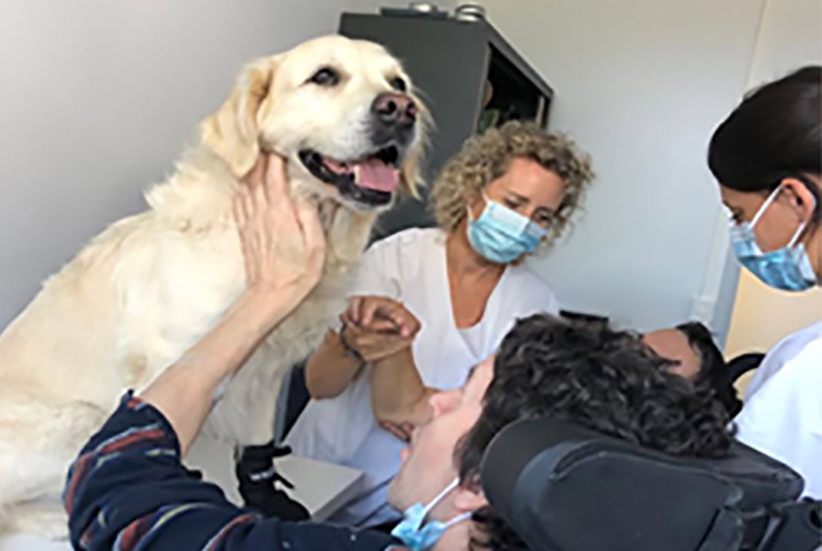 Saint-Jean-de-Luz : Médiation animale pour des patients en éveil de coma ou en état pauci-relationnel dans le service SMR Système Nerveux